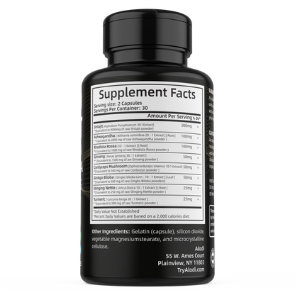 Shilajit Plus Advanced Wellness Capsules 8-in-1 Blend